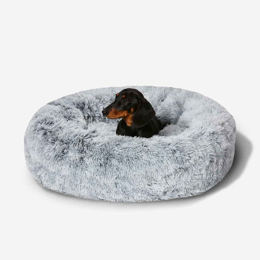 Pls pet paradise orthopedic pet bed best sale