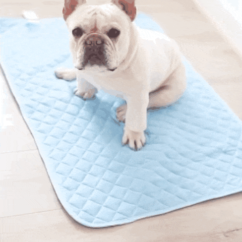 Cooling Mat for Dogs | Refreshing Comfort